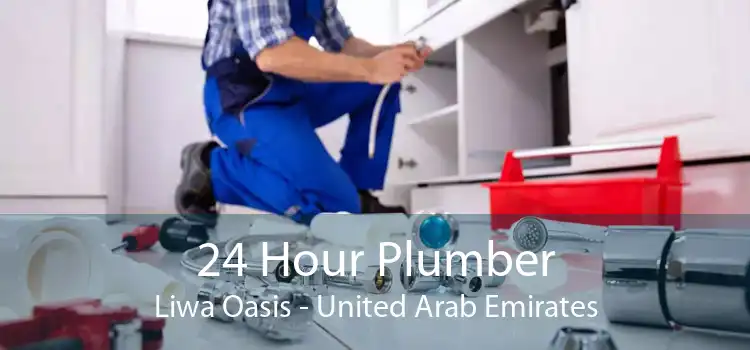 24 Hour Plumber Liwa Oasis - United Arab Emirates