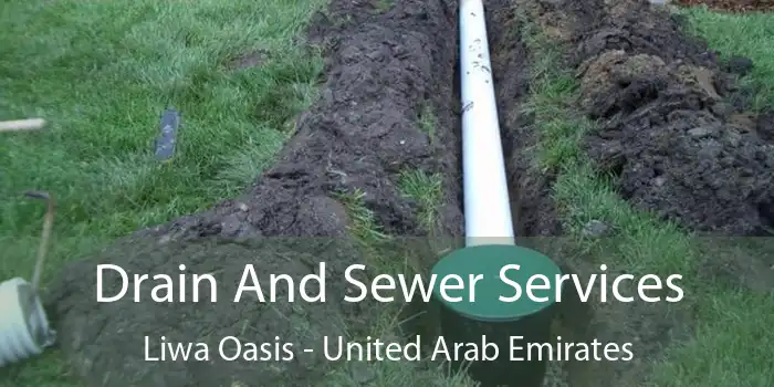 Drain And Sewer Services Liwa Oasis - United Arab Emirates