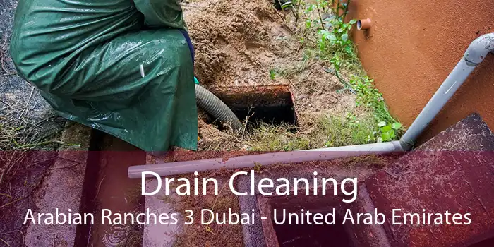 Drain Cleaning Arabian Ranches 3 Dubai - United Arab Emirates