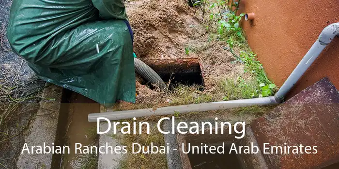 Drain Cleaning Arabian Ranches Dubai - United Arab Emirates