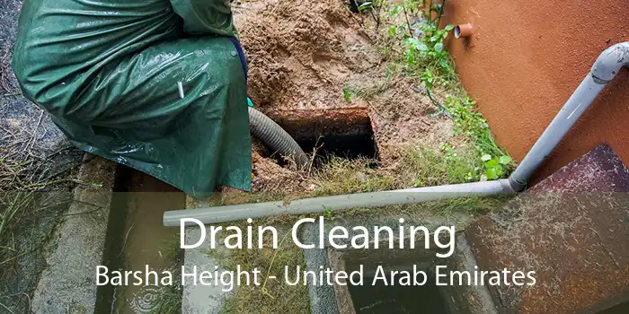 Drain Cleaning Barsha Height - United Arab Emirates