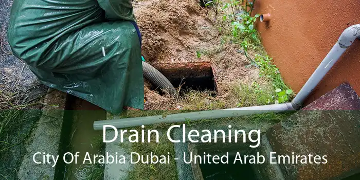 Drain Cleaning City Of Arabia Dubai - United Arab Emirates