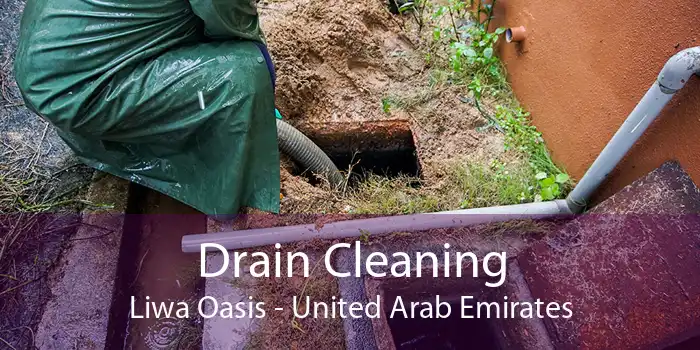 Drain Cleaning Liwa Oasis - United Arab Emirates
