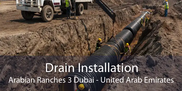 Drain Installation Arabian Ranches 3 Dubai - United Arab Emirates
