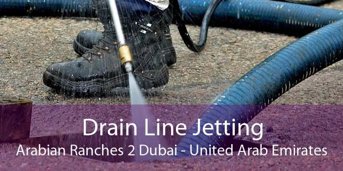 Drain Line Jetting Arabian Ranches 2 Dubai - United Arab Emirates