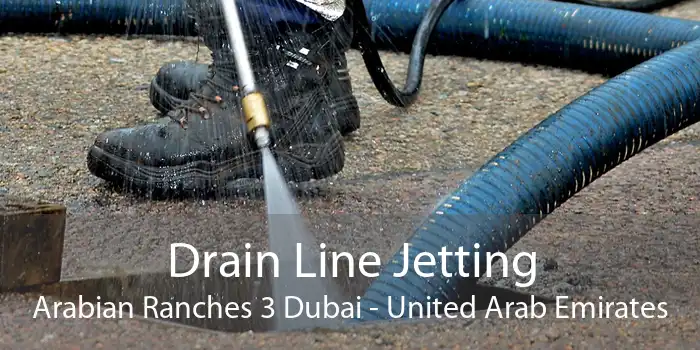 Drain Line Jetting Arabian Ranches 3 Dubai - United Arab Emirates