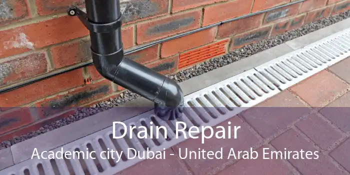 Drain Repair Academic city Dubai - United Arab Emirates