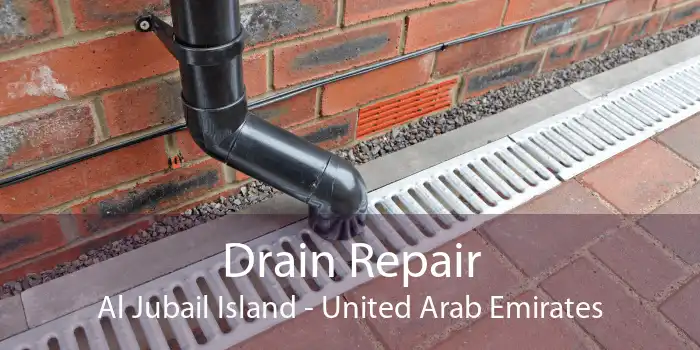 Drain Repair Al Jubail Island - United Arab Emirates