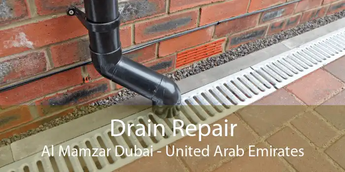 Drain Repair Al Mamzar Dubai - United Arab Emirates