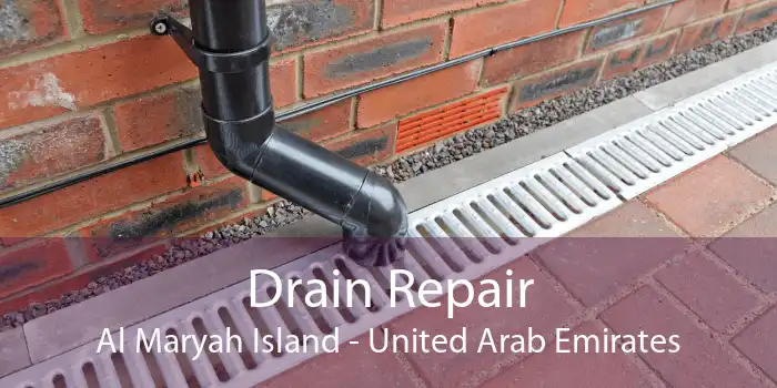 Drain Repair Al Maryah Island - United Arab Emirates