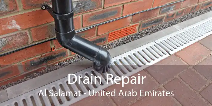 Drain Repair Al Salamat - United Arab Emirates