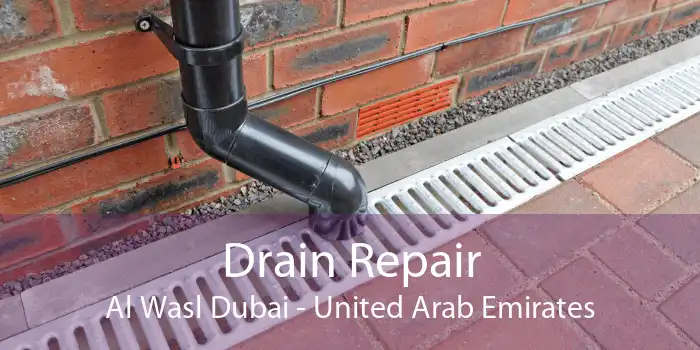 Drain Repair Al Wasl Dubai - United Arab Emirates