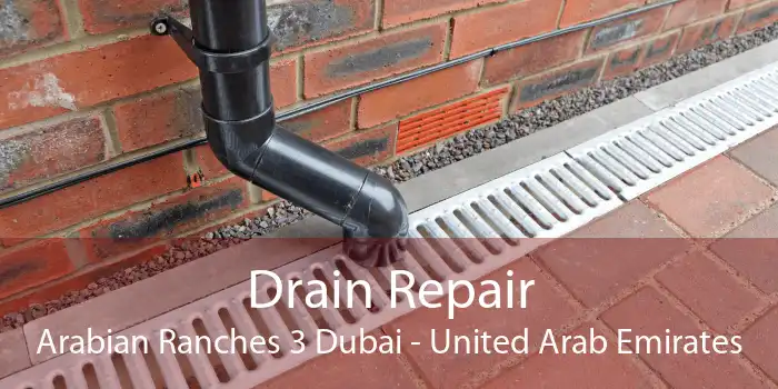 Drain Repair Arabian Ranches 3 Dubai - United Arab Emirates