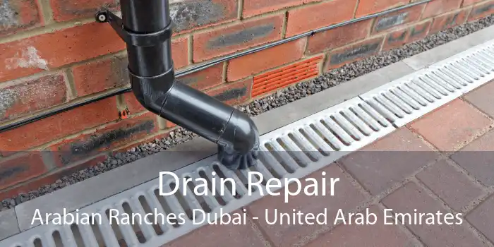 Drain Repair Arabian Ranches Dubai - United Arab Emirates