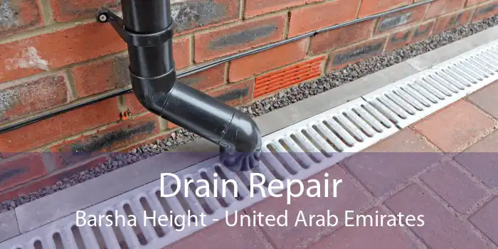 Drain Repair Barsha Height - United Arab Emirates