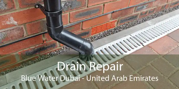 Drain Repair Blue Water Dubai - United Arab Emirates