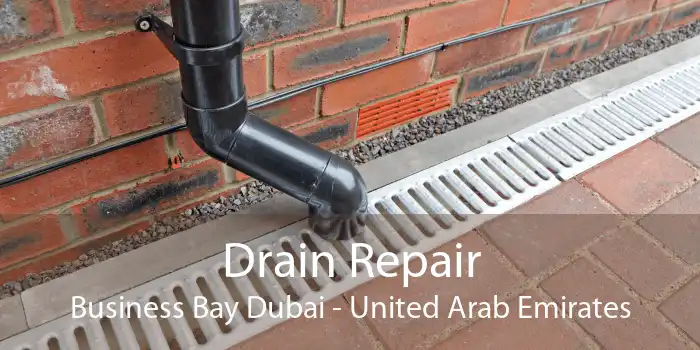 Drain Repair Business Bay Dubai - United Arab Emirates