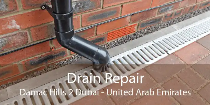 Drain Repair Damac Hills 2 Dubai - United Arab Emirates