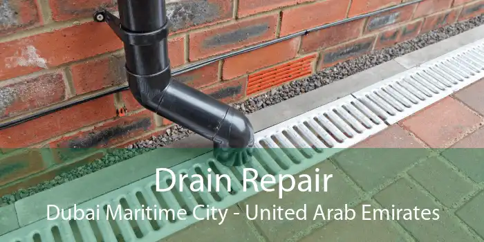 Drain Repair Dubai Maritime City - United Arab Emirates