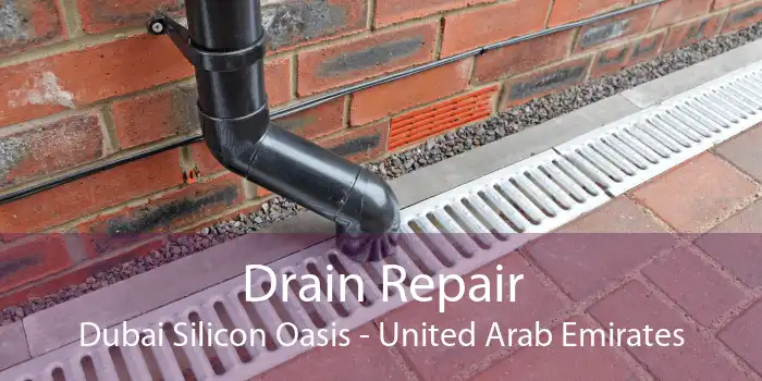 Drain Repair Dubai Silicon Oasis - United Arab Emirates