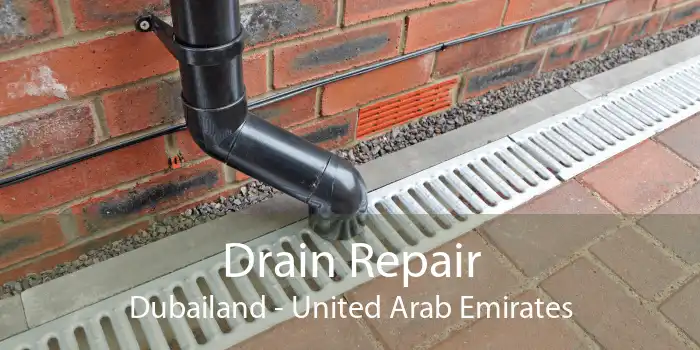 Drain Repair Dubailand - United Arab Emirates