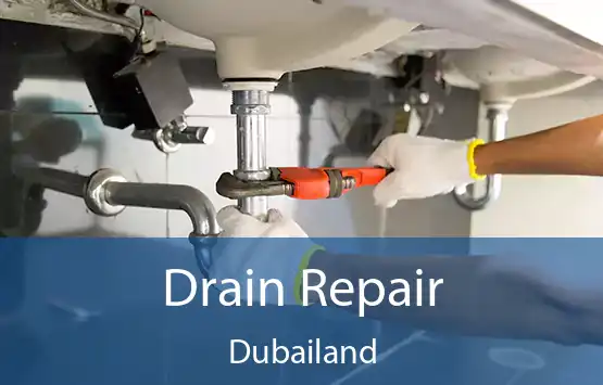  Drain Repair Dubailand