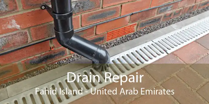 Drain Repair Fahid Island - United Arab Emirates