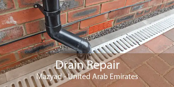 Drain Repair Mazyad - United Arab Emirates