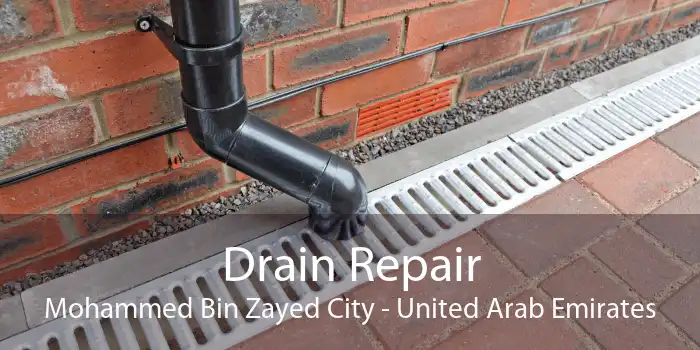 Drain Repair Mohammed Bin Zayed City - United Arab Emirates