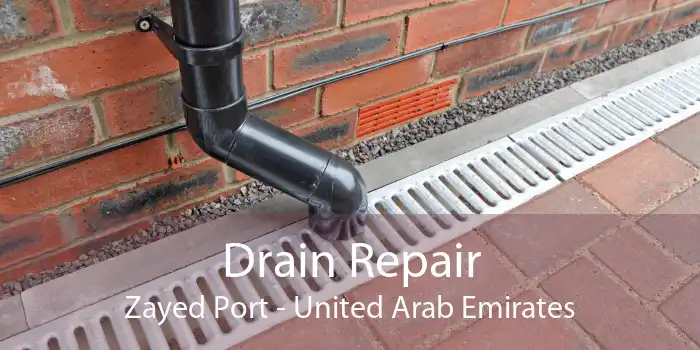 Drain Repair Zayed Port - United Arab Emirates