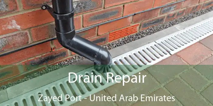 Drain Repair Zayed Port - United Arab Emirates