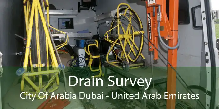 Drain Survey City Of Arabia Dubai - United Arab Emirates