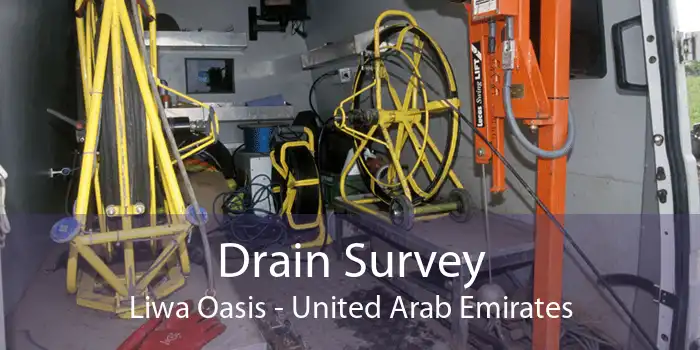 Drain Survey Liwa Oasis - United Arab Emirates