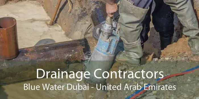 Drainage Contractors Blue Water Dubai - United Arab Emirates