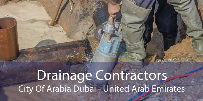 Drainage Contractors City Of Arabia Dubai - United Arab Emirates