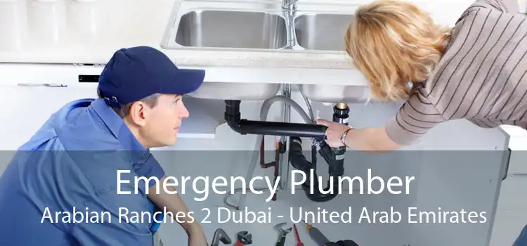 Emergency Plumber Arabian Ranches 2 Dubai - United Arab Emirates