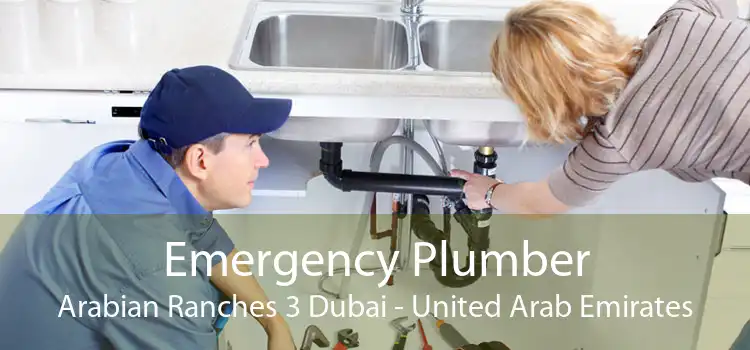 Emergency Plumber Arabian Ranches 3 Dubai - United Arab Emirates