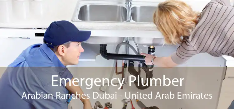Emergency Plumber Arabian Ranches Dubai - United Arab Emirates