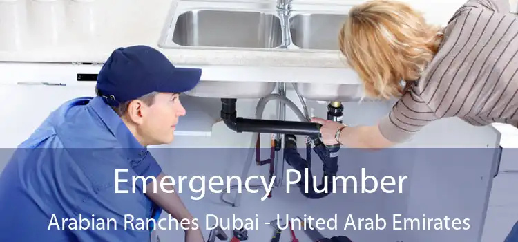 Emergency Plumber Arabian Ranches Dubai - United Arab Emirates