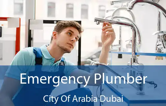  Emergency Plumber City Of Arabia Dubai