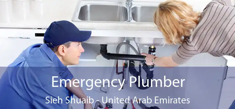 Emergency Plumber Sieh Shuaib - United Arab Emirates