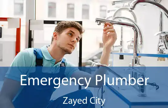 Emergency Plumber Zayed City