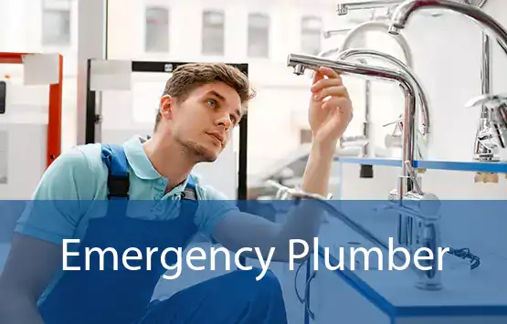 Emergency Plumber