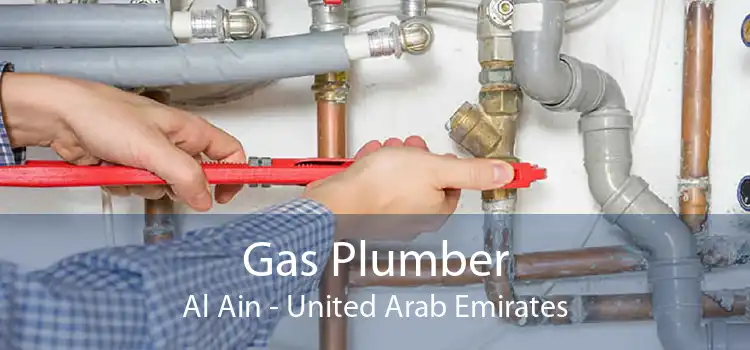 Gas Plumber Al Ain - United Arab Emirates