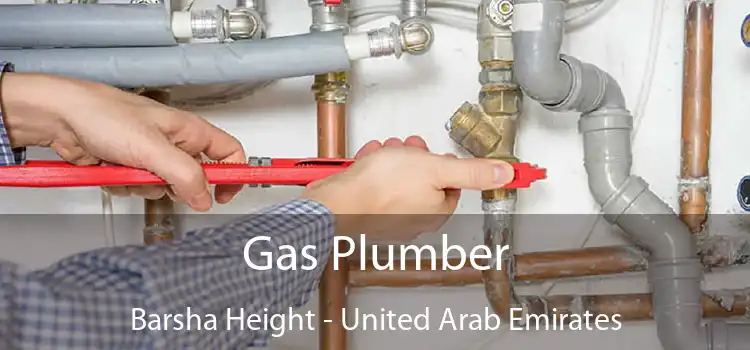 Gas Plumber Barsha Height - United Arab Emirates