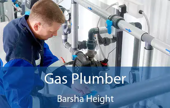  Gas Plumber Barsha Height