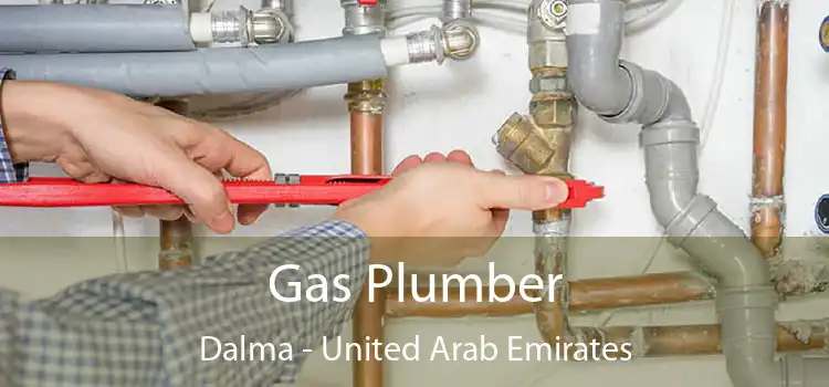 Gas Plumber Dalma - United Arab Emirates