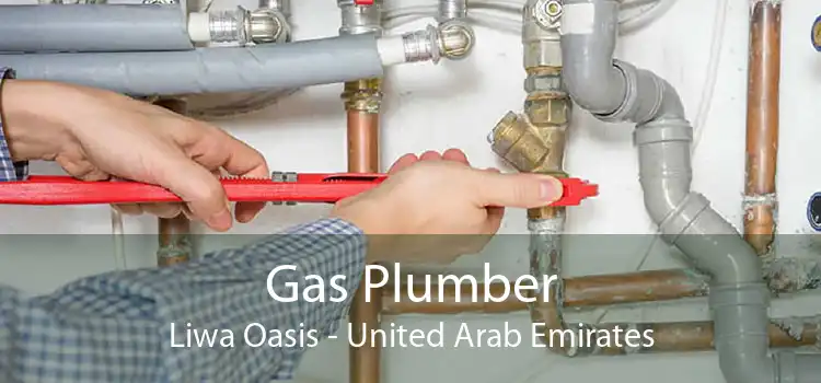 Gas Plumber Liwa Oasis - United Arab Emirates