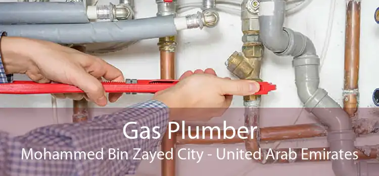 Gas Plumber Mohammed Bin Zayed City - United Arab Emirates