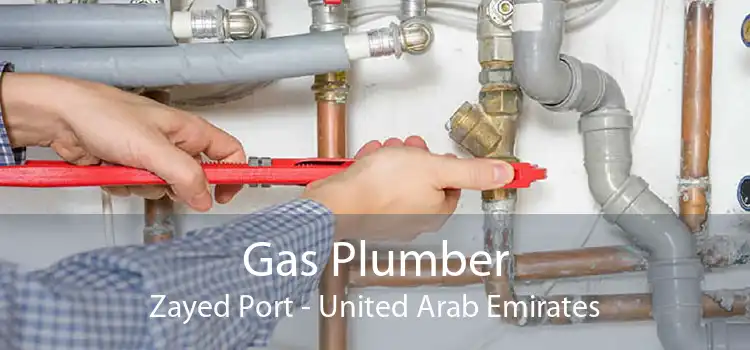 Gas Plumber Zayed Port - United Arab Emirates